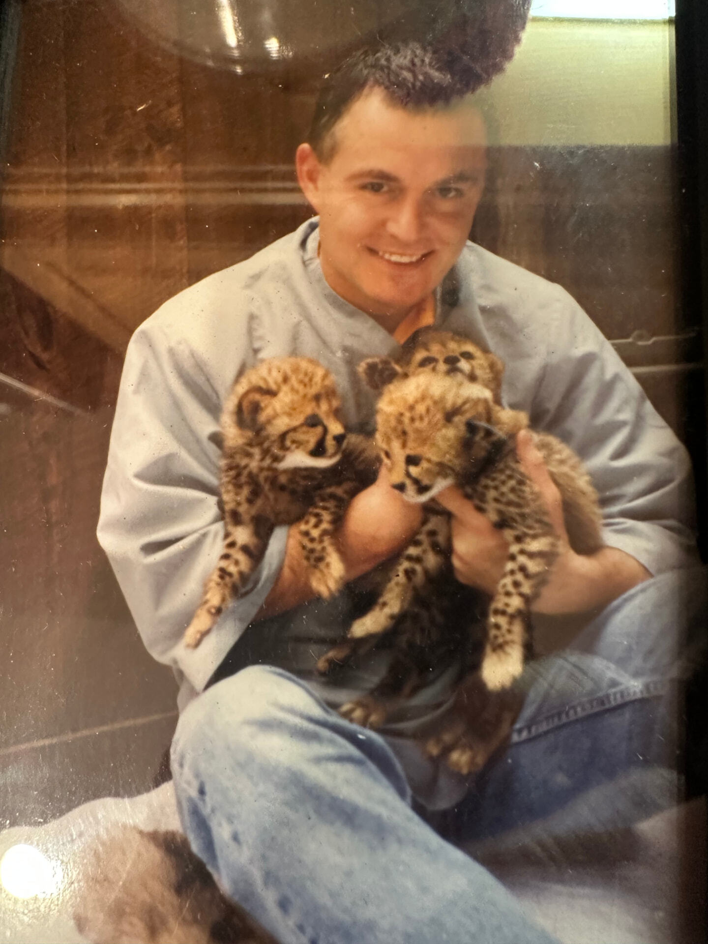 Interviewing 3-week old cheetah cubs.
